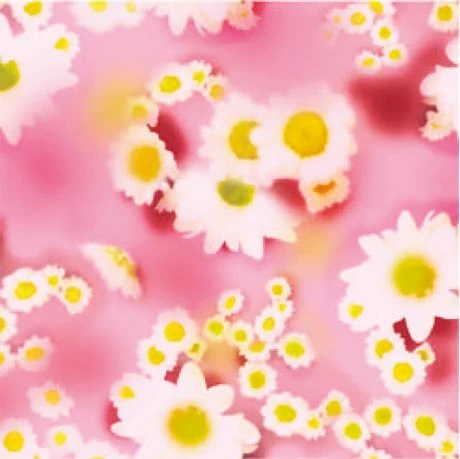 Eastpak Orbit Mini Rugtas Soft Pink 6 Eastpak Orbit Mini Rugtas Soft Pink - Afbeelding 4