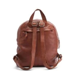 Biba Lewisburg Backpack Cognac -Fjallraven Tassen Verkoopwinkel cognac lei6 2