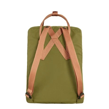 Fjallraven Fjällräven Kanken Rugzak Foliage Green Peach Sand 4 Fjallraven Fjällräven Kanken Rugzak Foliage Green Peach Sand - Afbeelding 2
